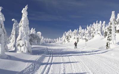 Cross Country Skiing
