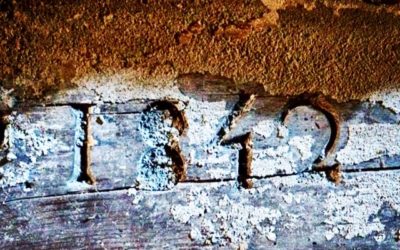 “1842” House renovations, phase 1