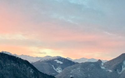 Plenty of Winter action at CSF