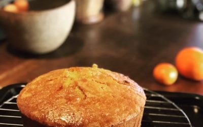 Orange , almond & polenta cake