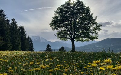 Cycling in Savoie 2020